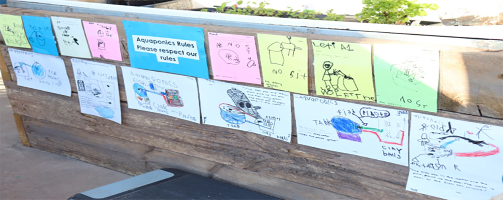 Aquaponics setup, with space for authentic signs made by students.